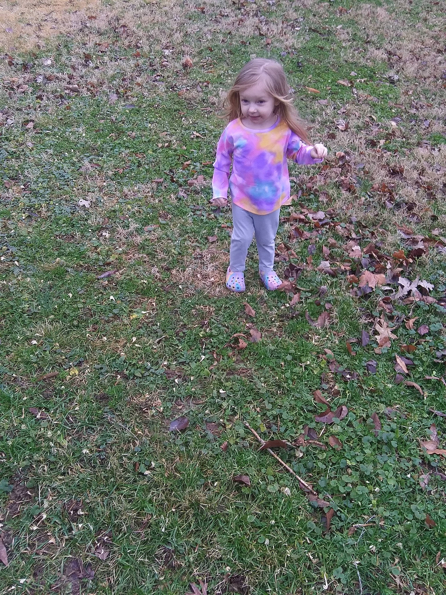 Paisley joined the competition — help win amazing prizes! annual_plant, flower, garden, grass, grassland, groundcover, joy, landscape, lawn, leaf, magenta, meadow, people_in_nature, person, plant, purple, shrub, soil, toddler, tree