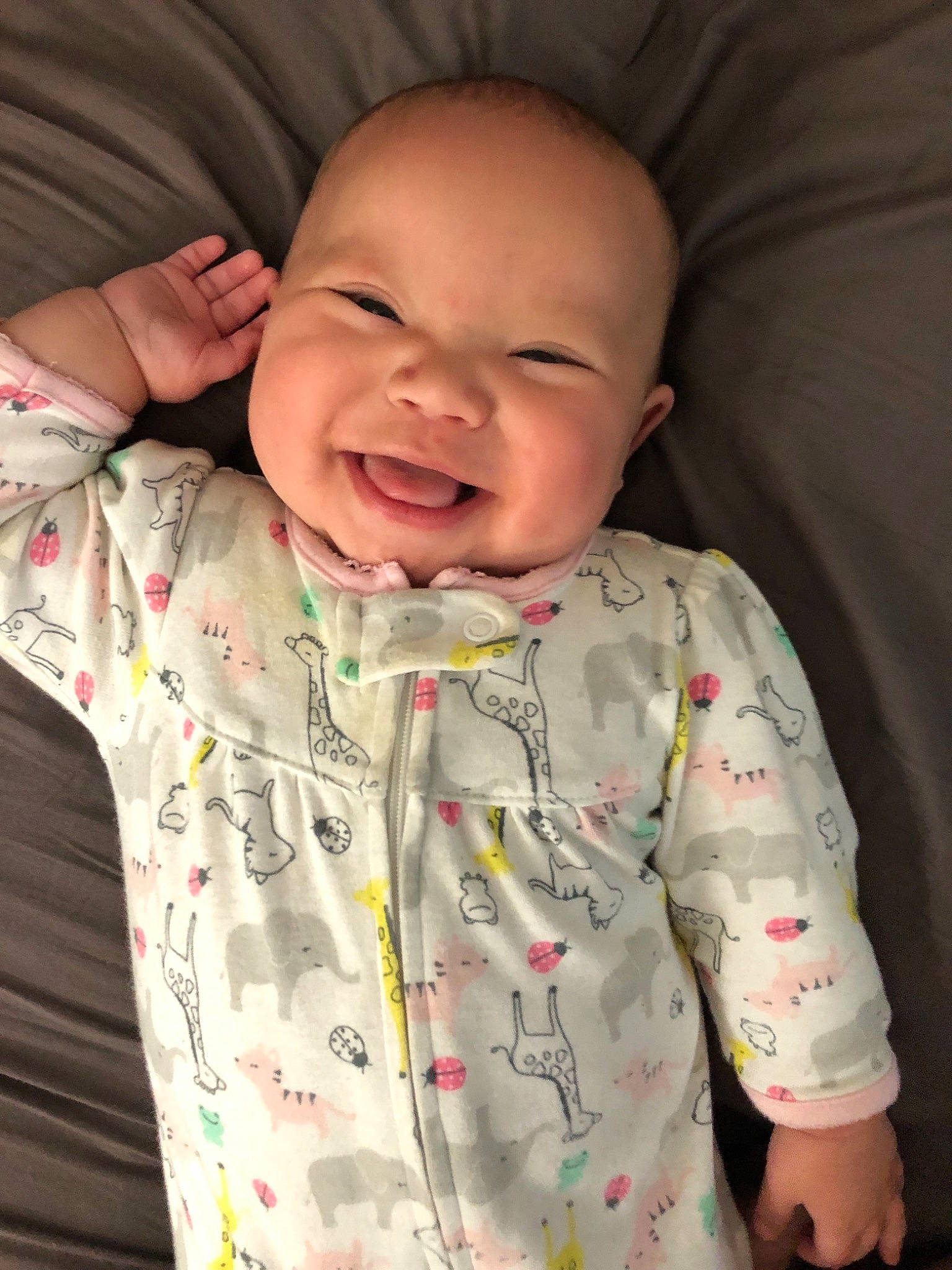 Harlie is registered to the contest to win money with this photo: baby, cheek, child, face, facial_expression, forehead, head, laugh, nose, person, skin, sleep, smile, toddler