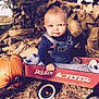 baby, child, wagon, radio_flyer, pumpkin, firewood, overalls, blanket, outdoor, fall, autumn, cute, portrait, smiling, person, blue_eyes, nature, daylight, wood, seasonal
