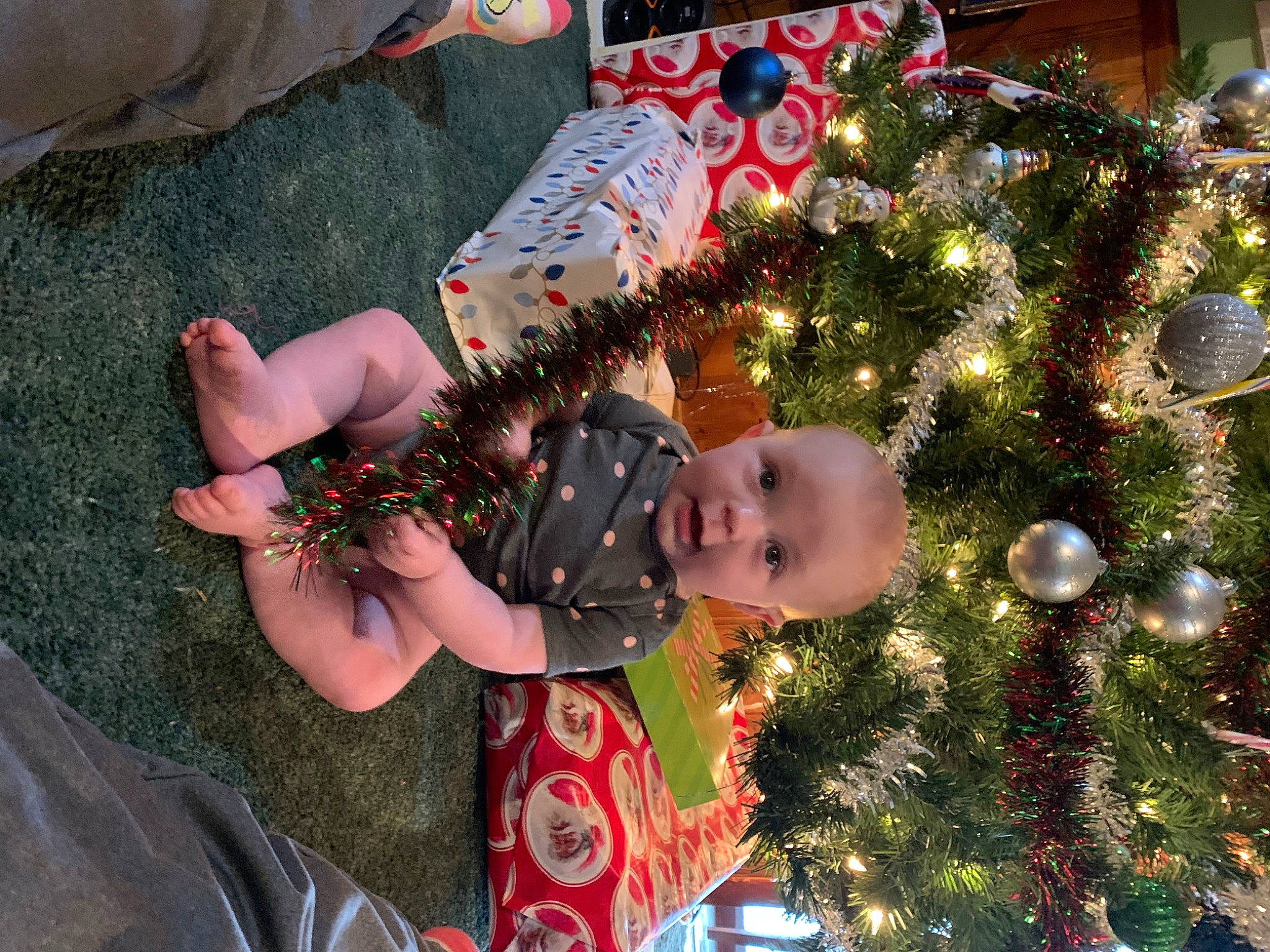 Adalynn is registered to the contest to win money with this photo: baby, child, christmas, christmas_decoration, christmas_eve, christmas_ornament, christmas_tree, conifer, event, evergreen, fun, happy, holiday, holiday_ornament, ornament, people_in_nature, person, plant, toddler, tradition