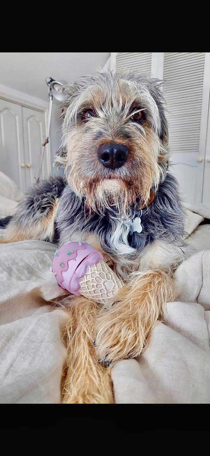 Tomas