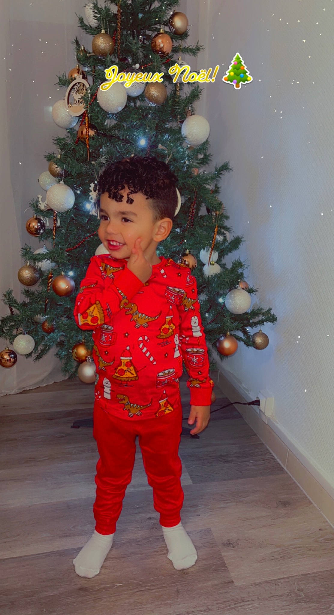 Emilio participe au concours pour gagner de l'argent avec cette photo : baby_toddler_clothing, chin, christmas_decoration, christmas_ornament, christmas_tree, evergreen, face, fun, hair, happy, holiday_ornament, human_body, joy, ornament, people_in_nature, person, plant, sleeve, smile, standing