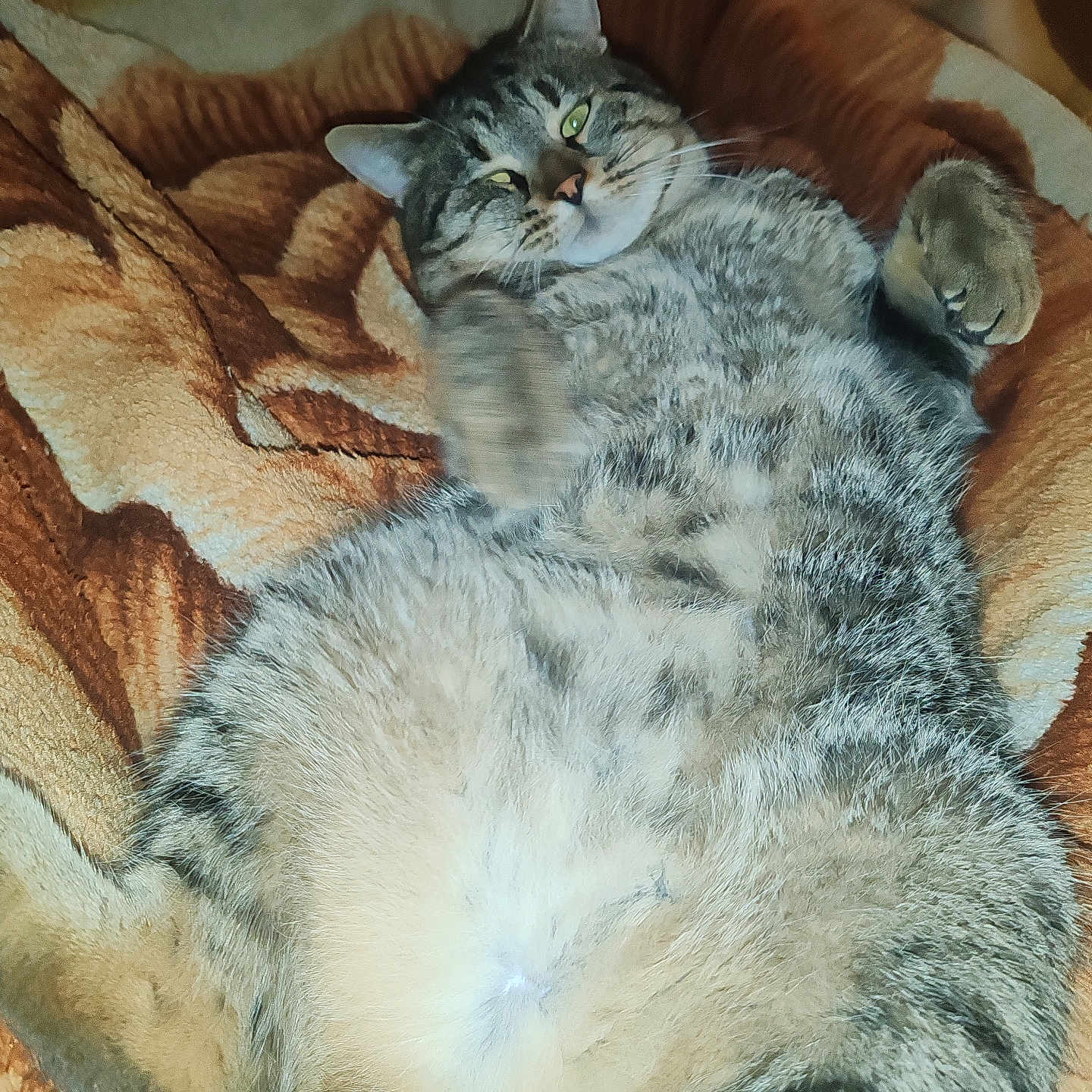 Nala