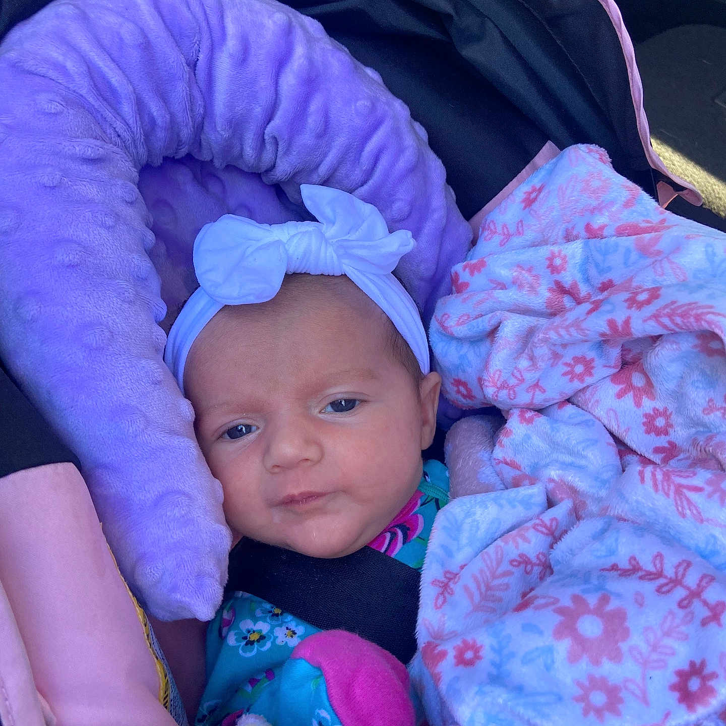 Skylar Hope is registered to the contest to win money with this photo: baby, blanket, blue, car_seat, child, closeup, clothing, cozy, cute, expression, face, headband, indoors, infant, newborn, person, pink, purple, seatbelt, soft