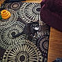 animal, black_and_white, cat, chair, curious, domestic_cat, floor, furniture, green_eyes, home, indoor, living_room, looking_up, patterned_rug, pet, rug, tail, treadmill, whiskers, wooden_floor