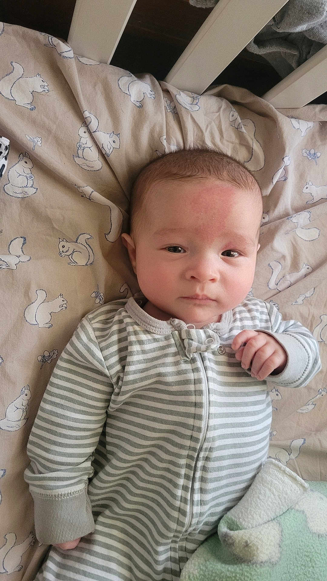 Briar is registered to the contest to win money with this photo: baby, infant, newborn, crib, bedding, blanket, onesie, striped_clothing, face, eyes, hand, head, hair, squirrel_pattern, zipper, indoor, portrait, calm_expression, closeup, nursery