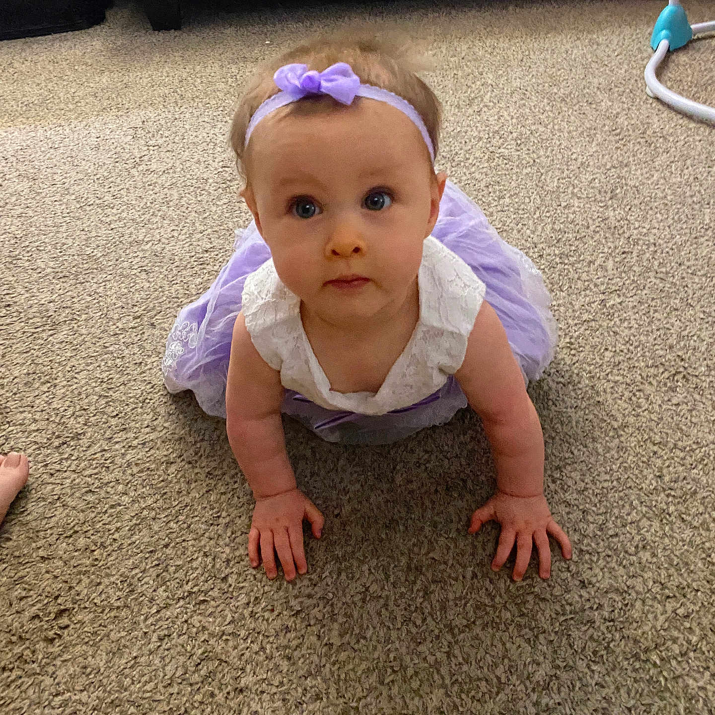 Hazel