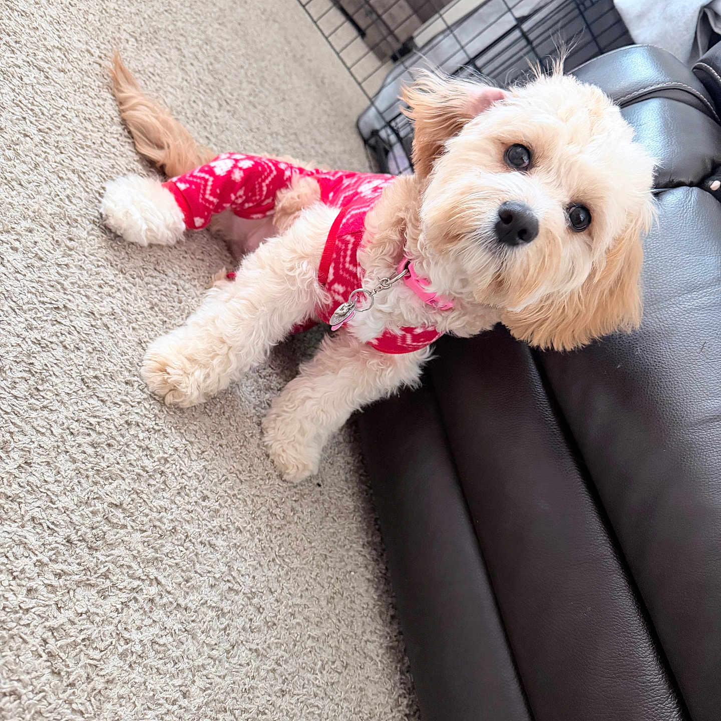 Minnie