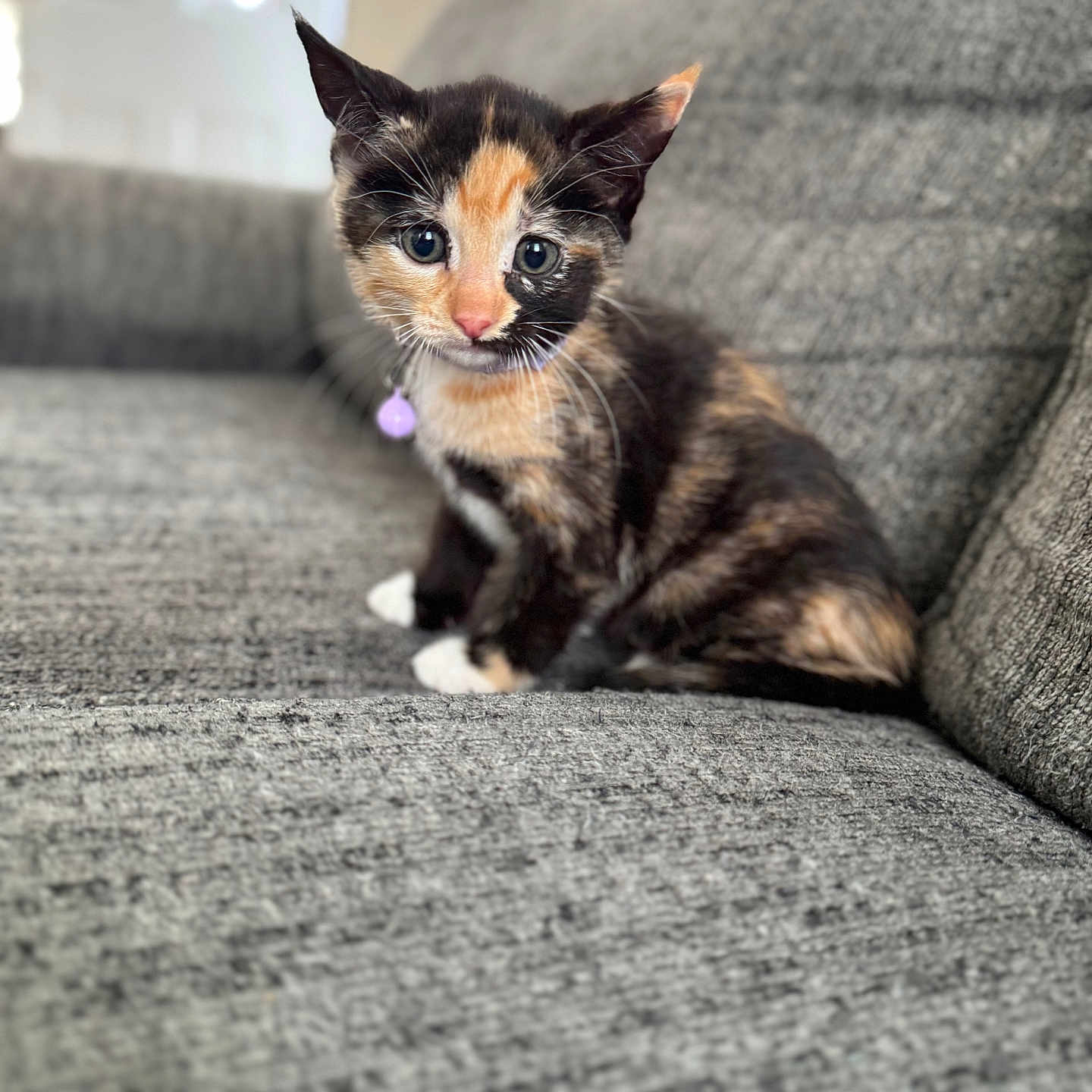 Maggie