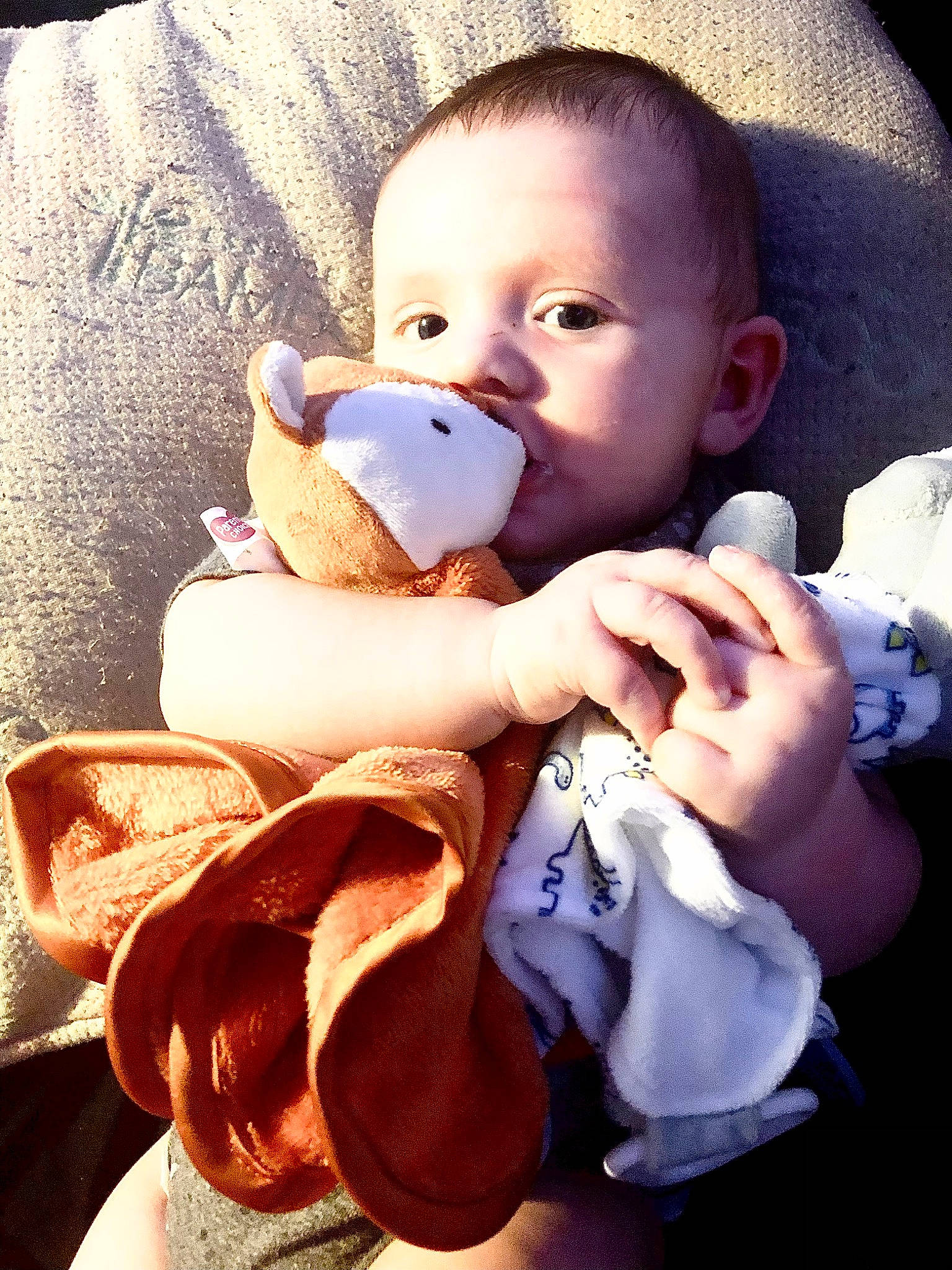 Beau is registered to the contest to win money with this photo: baby, baby_products, baby_sleeping, baby_toddler_clothing, cheek, child, comfort, doll, ear, finger, gesture, hand, happy, nail, nose, person, skin, stuffed_toy, thumb, toddler