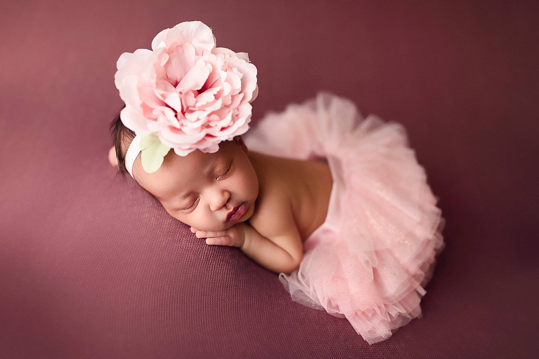 Kahlani joined the competition — help win amazing prizes! baby, baby_sleeping, child, fashion_accessory, flower, hair_accessory, headband, headgear, headpiece, headwear, person, petal, photograph, photography, pink, plant, toddler