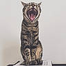 Ettore participe au concours pour gagner de l'argent avec cette photo : cat, tabby_cat, yawning, open_mouth, teeth, tongue, whiskers, feline, sitting, upright, indoors, portrait, close_up, striped_fur, brown_fur, gray_fur, animal, funny, dramatic_expression, paper