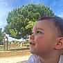 Ysaac participe au concours pour gagner de l'argent avec cette photo : child, curious, cute, daylight, face, greenery, innocent, nature, outdoor, park, person, playground, side_profile, sky, smiling, summer, toddler, tree, white_shirt, young_child