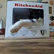 Zig Zag joined the competition — help win amazing prizes! animal, black_and_white, cardboard_box, cat, funny, green_eyes, household_appliance, indoor, kitchen, kitchenaid, mixer, paw, pet, photography, portrait, product_packaging, sitting, table, tuxedo_cat, whiskers