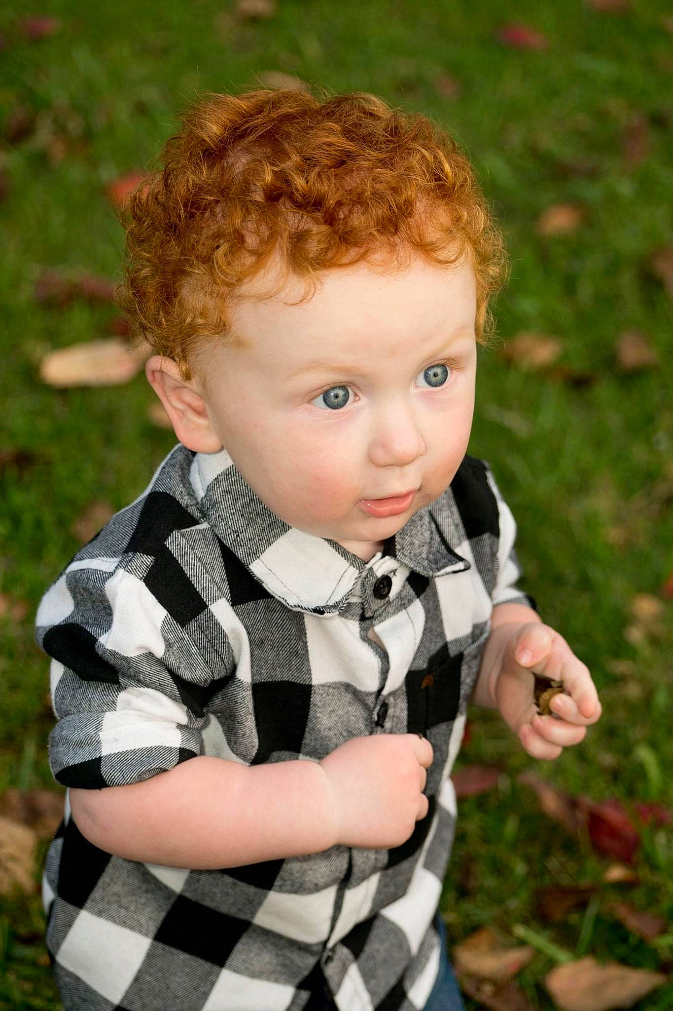 Travis is registered to the contest to win money with this photo: baby_toddler_clothing, blond, eye, facial_expression, grass, grass_family, hair, happy, human_body, iris, pattern, people_in_nature, person, plaid, plant, skin, sleeve, surprise, tartan, toddler