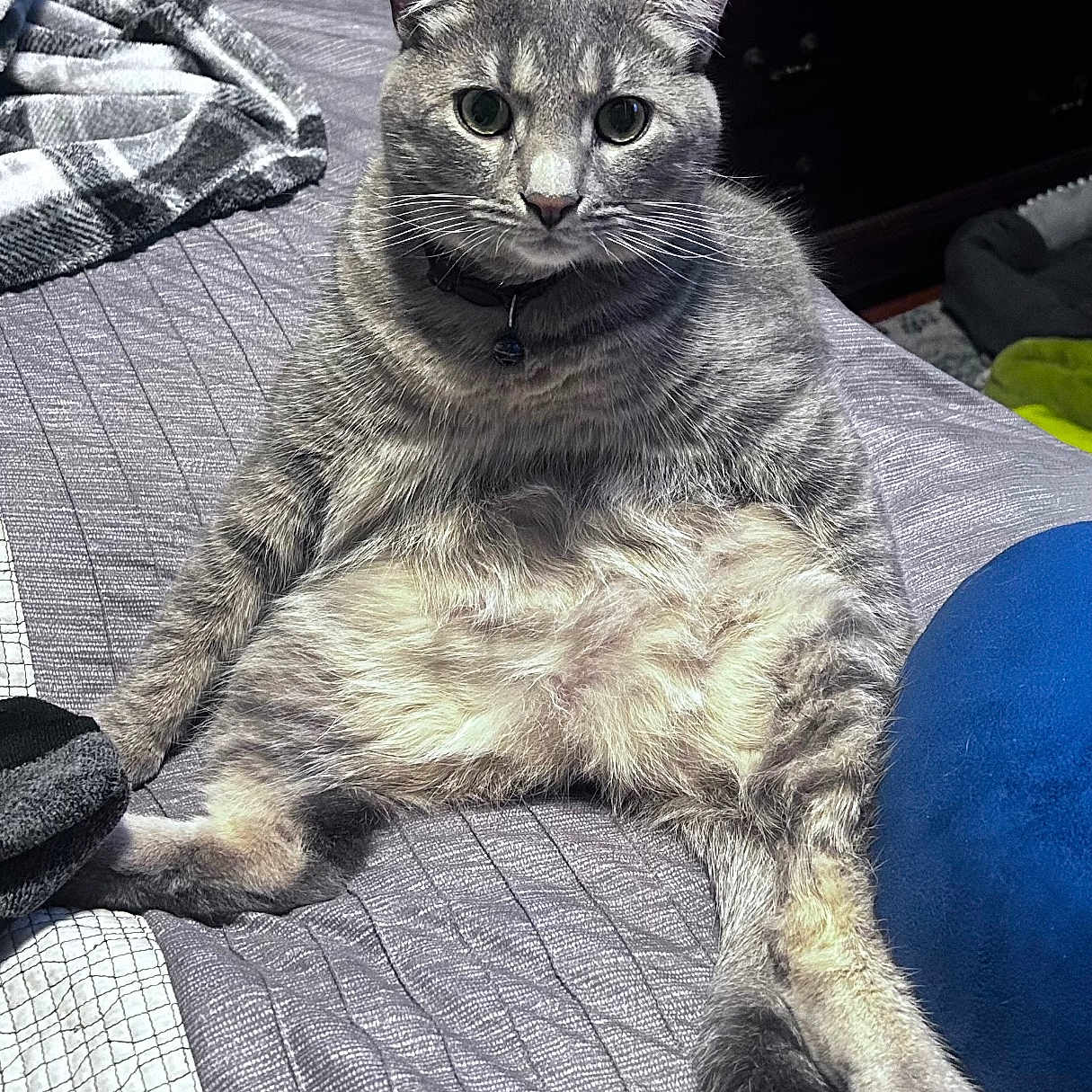 Nimbus
