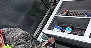 Ash joined the competition — help win amazing prizes! animal, bathroom, bottle, box, cat, curious, earring, feline, frosted_glass, indoor, person, pet, shelf, shoulder, shower_door, tabby_cat, tile, toiletries, wall, yellow_clothing