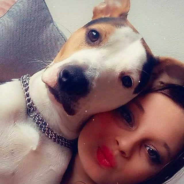 Athéna a rejoint le concours — aidez-le/la à gagner de superbes lots ! carnivore, chest, companion_dog, dog, dog_breed, ear, eyebrow, eyelash, face, fawn, gesture, happy, jaw, mouth, nose, smile, snout, trunk, whiskers, working_animal