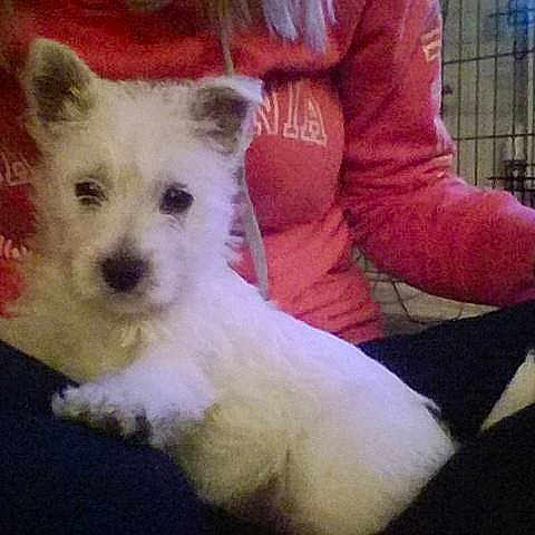 Toby is registered to the contest to win money with this photo: