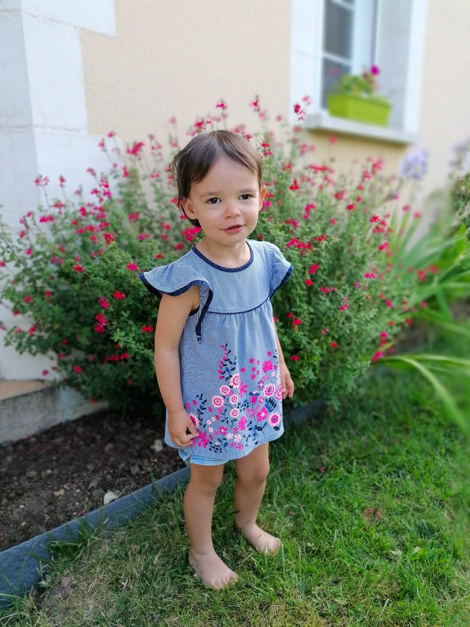 Maëlys a rejoint le concours — aidez-le/la à gagner de superbes lots ! baby_toddler_clothing, clothing, day_dress, dress, flower, grass, hair, joy, leaf, one_piece_garment, people_in_nature, person, petal, pink, plant, shrub, sleeve, standing, textile, toddler