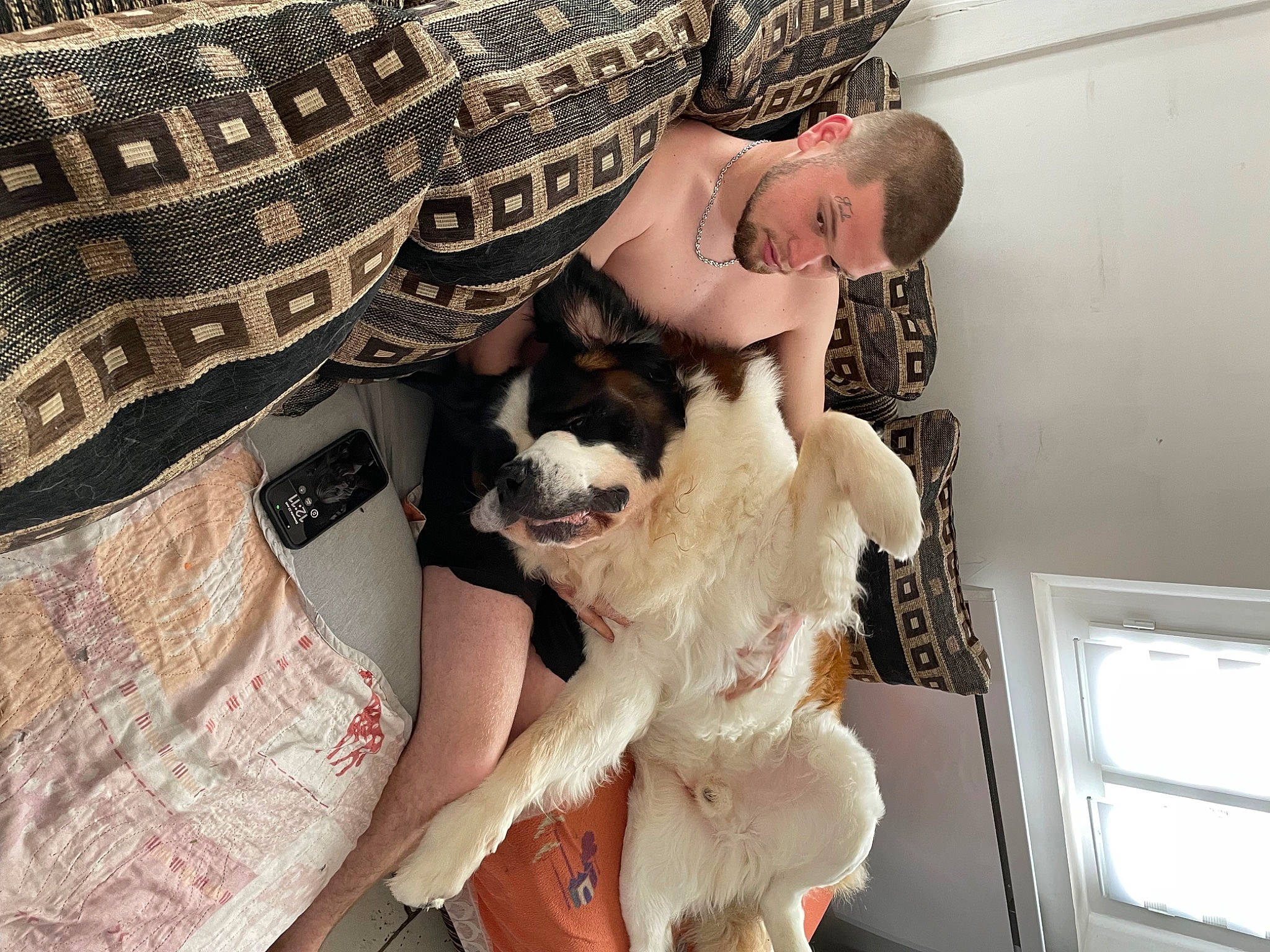 Rosco participe au concours pour gagner de l'argent avec cette photo : canidae, carnivore, comfort, companion_dog, dog, dog_breed, fawn, felidae, fur, linens, non_sporting_group, pattern, plaid, room, sitting, small_to_medium_sized_cats, sporting_group, tail, toy_dog