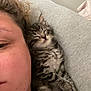 Lucifer is registered to the contest to win money with this photo: animal, cat, close_up, companion, cozy, cute, face, fluffy, friendship, fur, human, indoor, kitten, person, pet, relaxing, resting, sleeping, snuggling, soft