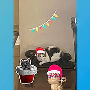 Missy joined the competition — help win amazing prizes! cat, bench, floor, wall, tile, carpet, sticker, cartoon, christmas_hat, heart_shaped_glasses, holiday_lights, indoor, pet, animal, cute, decor, festive, relaxed, small_furniture, playful