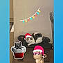 cat, bench, floor, wall, tile, carpet, sticker, cartoon, christmas_hat, heart_shaped_glasses, holiday_lights, indoor, pet, animal, cute, decor, festive, relaxed, small_furniture, playful