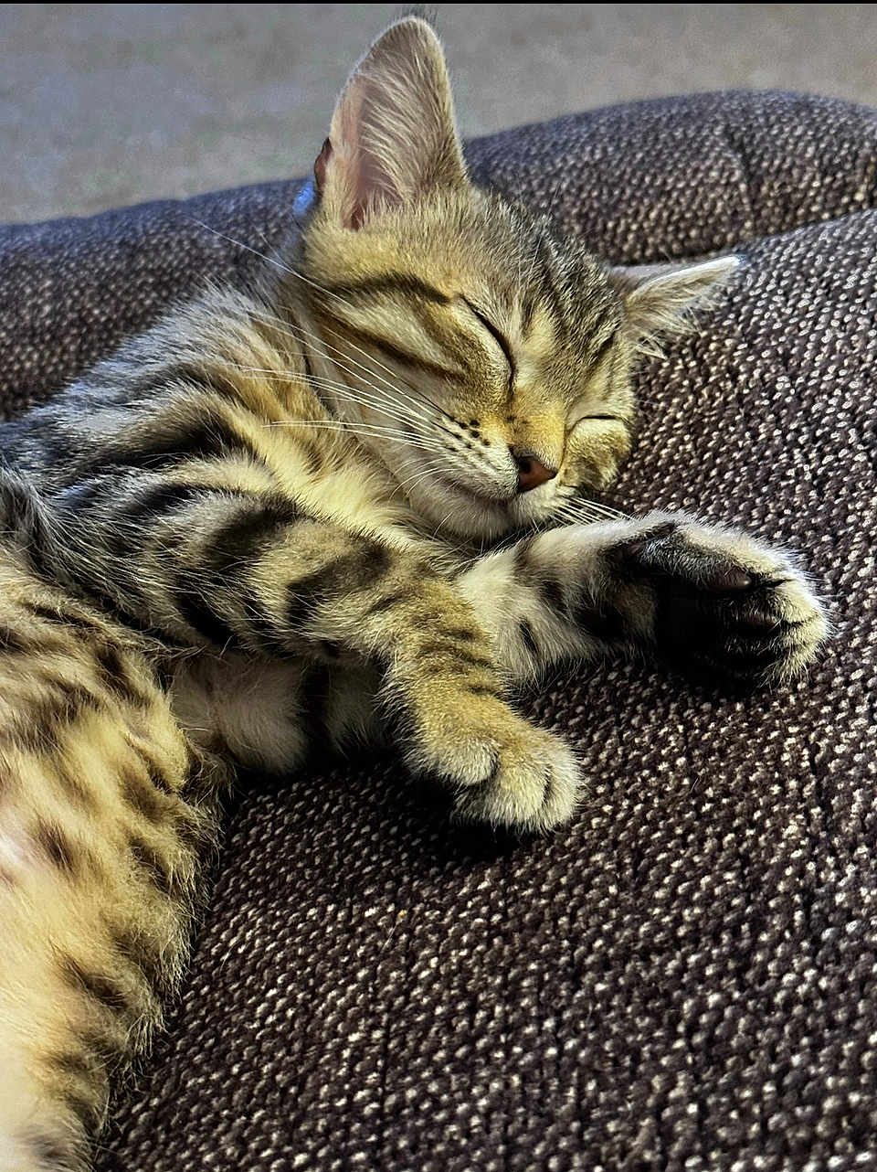 Nala