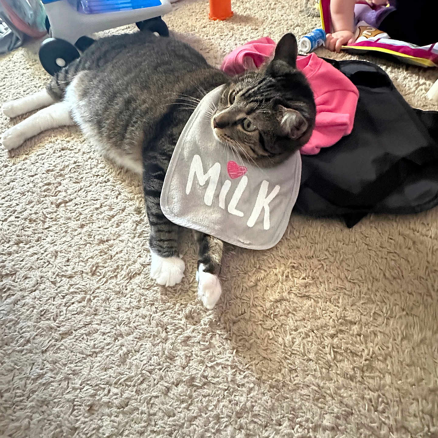 Kalee joined the competition — help win amazing prizes! bib, carpet, cat, child, clothing, cute, floor, gray_tabby, household, indoor, milk, orange_toy, pet, pink_clothing, play, relaxed, tabby_cat, toddler, toy, white_paws