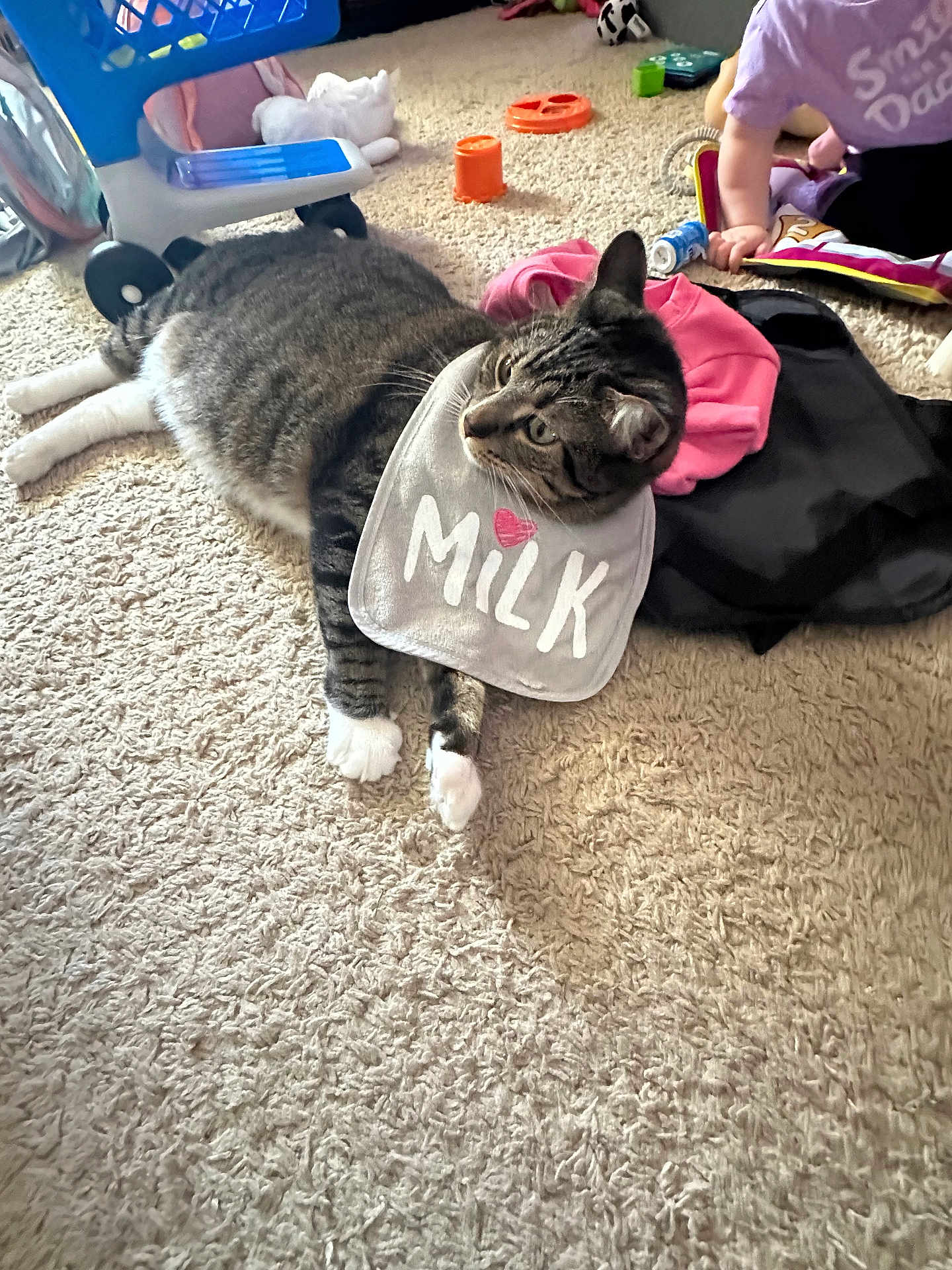 Kalee joined the competition — help win amazing prizes! cat, tabby_cat, bib, milk, carpet, toy, child, toddler, clothing, indoor, floor, play, pink_clothing, orange_toy, white_paws, gray_tabby, relaxed, household, cute, pet