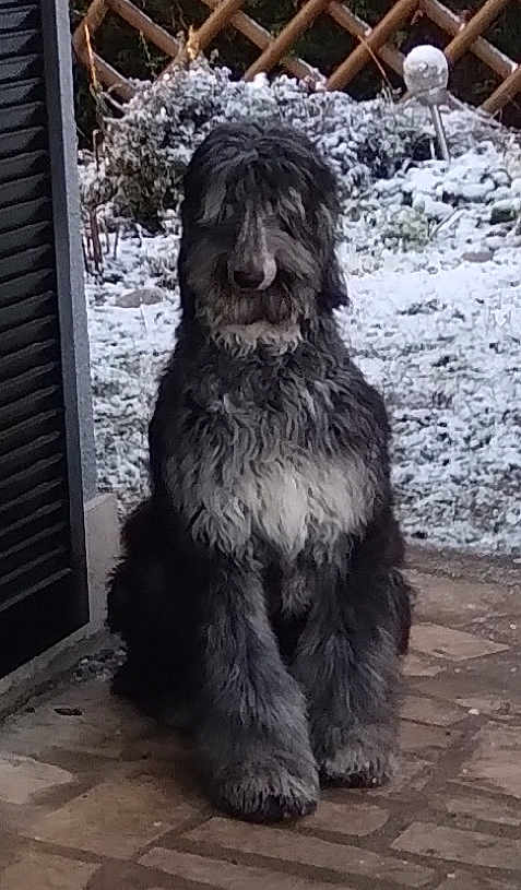 Thor J'Adore