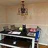 cat, black_cat, table, dining_table, chair, placemat, room, wall, light_fixture, lamp, wood_floor, door, indoor, furniture, pet, animal, curious, seated, home, cozy