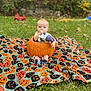 Ezra joined the competition — help win amazing prizes! baby, pumpkin, blanket, grass, toy, outdoor, child, fall, autumn, cute, plush_toy, sitting, greenery, seasonal, holiday, jack_o_lantern, nature, playful, cozy, yard