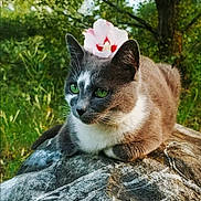 Pibou a rejoint le concours — aidez-le/la à gagner de superbes lots !