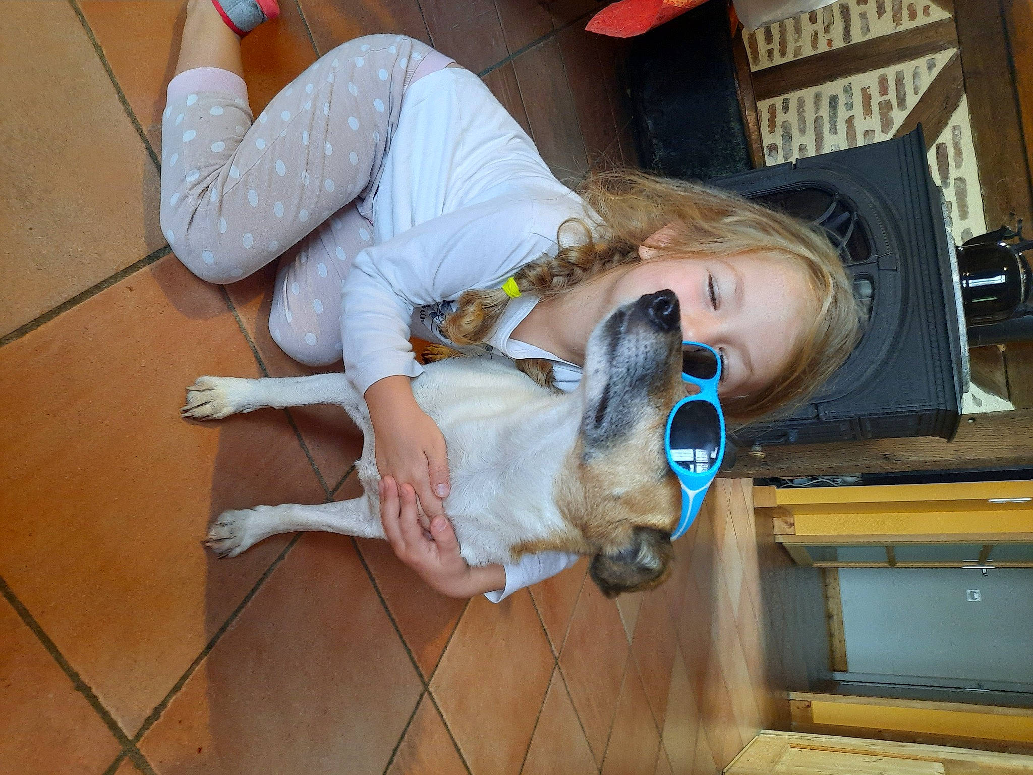 Biscotte a rejoint le concours — aidez-le/la à gagner de superbes lots ! canidae, carnivore, comfort, companion_dog, dog, dog_breed, fawn, flooring, fun, hardwood, human_leg, knee, lap, sitting, sporting_group, sunglasses, thigh, wood, wood_flooring, wrist