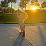 casual_clothing, child, evening, grass, happy, holding_food, nature, outdoor, park, playful, portrait, shadow, sidewalk, silhouette, sneakers, sunlight, sunset, toddler, trees, young_child