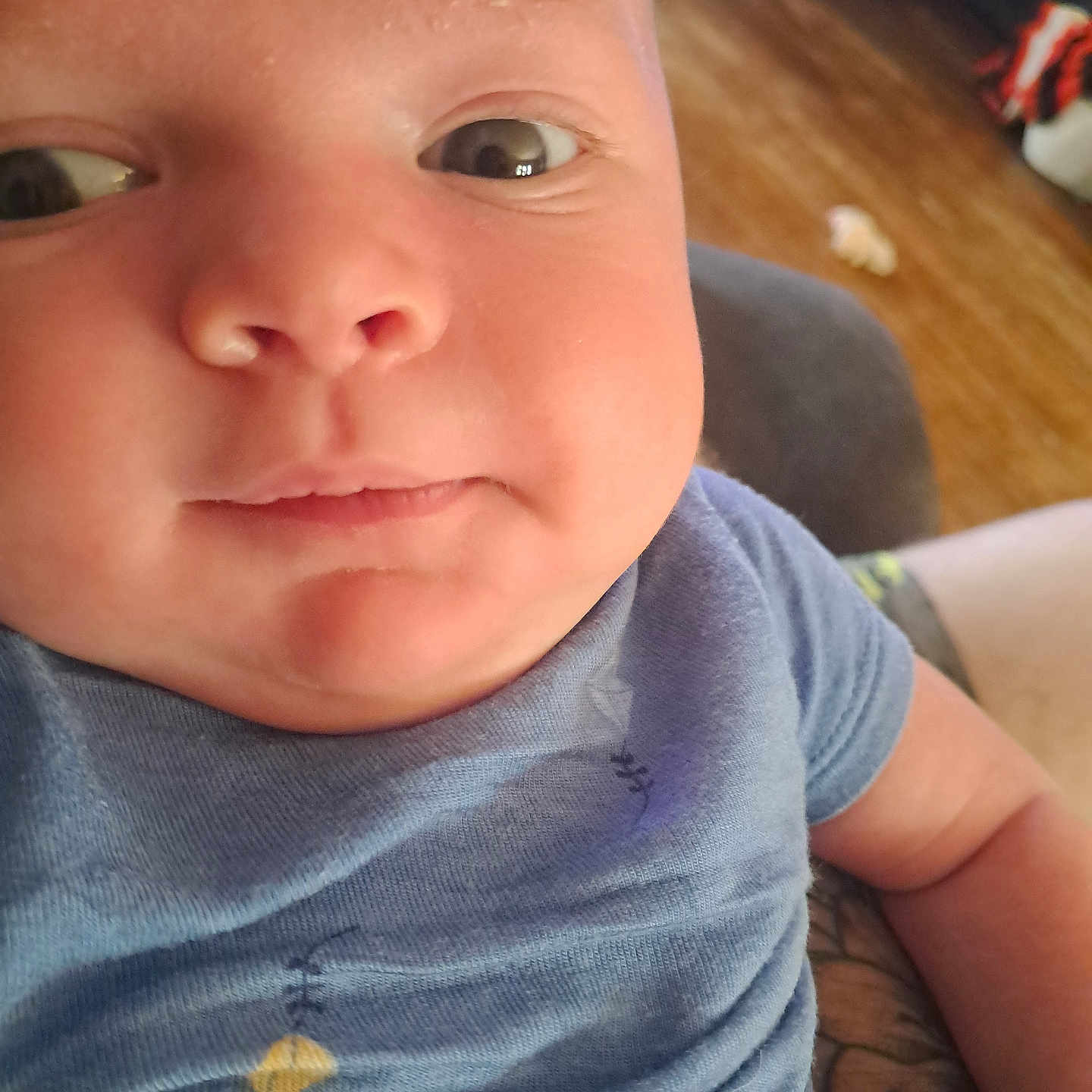 Corey is registered to the contest to win money with this photo: baby, close_up, face, chubby_cheeks, blue_shirt, indoor, wooden_floor, furniture, person, skin, cute, child, portrait, infant, expression, wide_eyes, sitting, arm, tattoo, casual