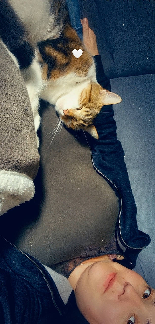 Frifri a rejoint le concours — aidez-le/la à gagner de superbes lots ! blue, carnivore, cat, comfort, electric_blue, eye, fawn, felidae, gesture, human_leg, leg, light, small_to_medium_sized_cats, snout, tail, textile, thigh, waist, whiskers, white