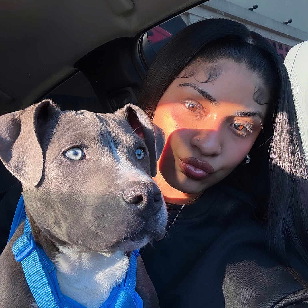 Eco Diamond joined the competition — help win amazing prizes! animal, black_hair, blue_eyes, blue_harness, car_interior, casual_clothing, close_up, cute, dog, hand, happy, indoor, nail_art, nose_ring, pet, portrait, puppy, sunlight, woman, young_adult