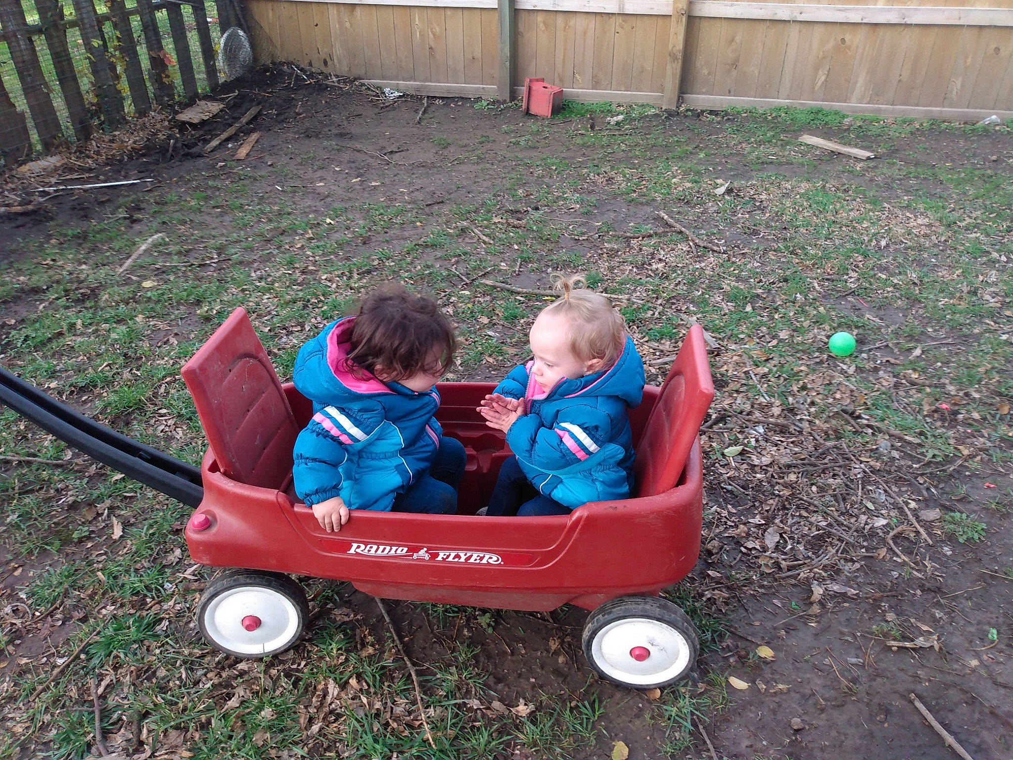 Tymber joined the competition — help win amazing prizes! baby_products, baby_toys, backyard, cart, child, garden, grass, person, plant, play, product, toddler, vehicle, wagon, yard