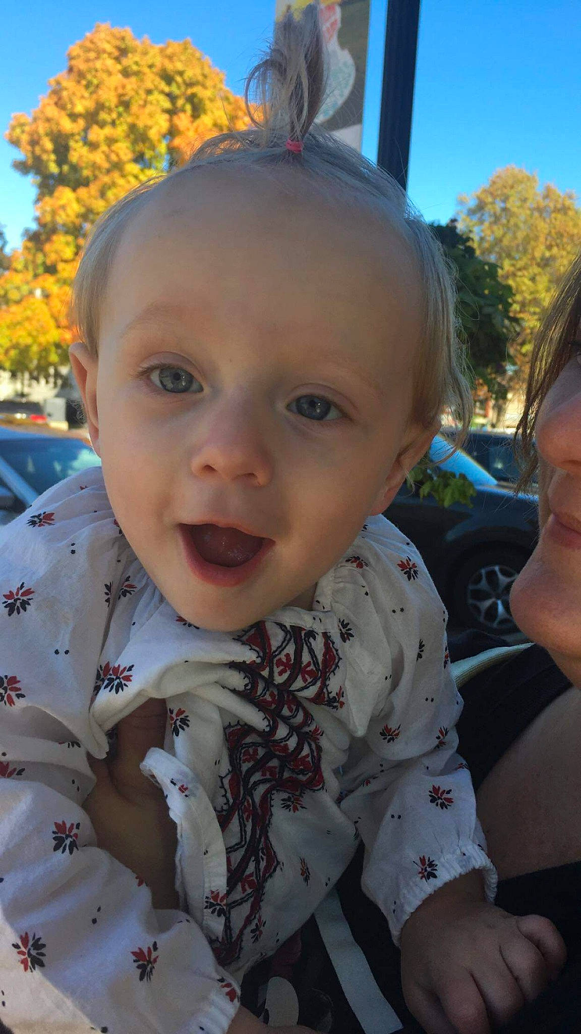 Tymber joined the competition — help win amazing prizes! baby, cheek, child, ear, eye, face, forehead, head, iris, leaf, nose, person, plant, skin, smile, toddler