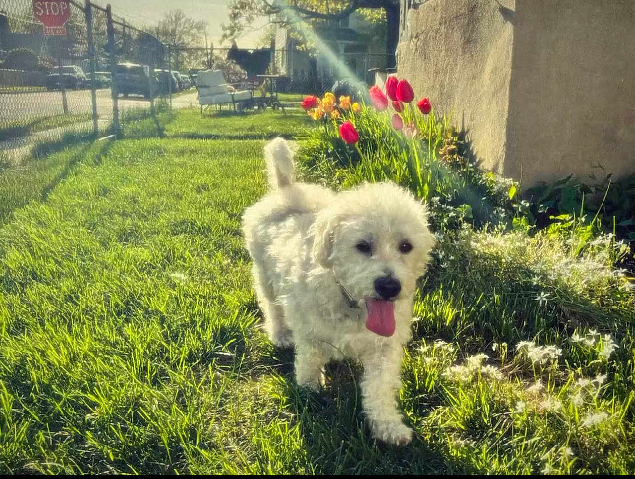 Benny Blanco