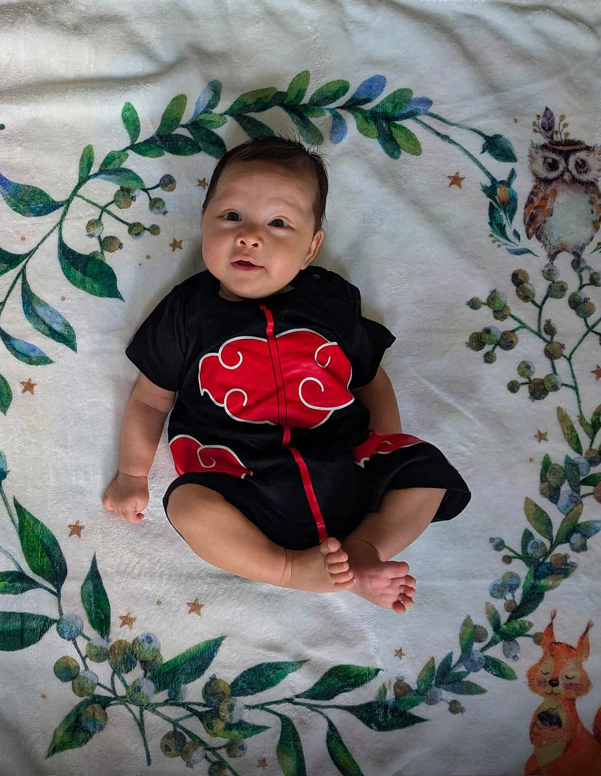Nami a rejoint le concours — aidez-le/la à gagner de superbes lots ! baby, infant, child, blanket, leafy_pattern, owl, squirrel, greenery, stars, foot, hand, black_clothing, red_pattern, cute, lying_down, indoor, soft_texture, curious_expression, person, portrait