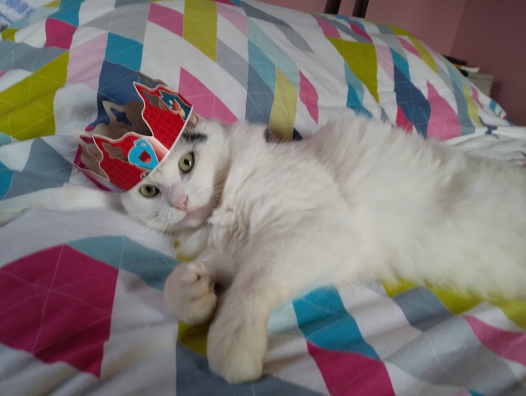 Chamallow participe au concours pour gagner de l'argent avec cette photo : art, bed, bed_sheet, bedding, carnivore, cat, comfort, couch, domestic_short_haired_cat, fashion_accessory, fawn, felidae, fur, linens, pattern, paw, small_to_medium_sized_cats, tail, textile, whiskers