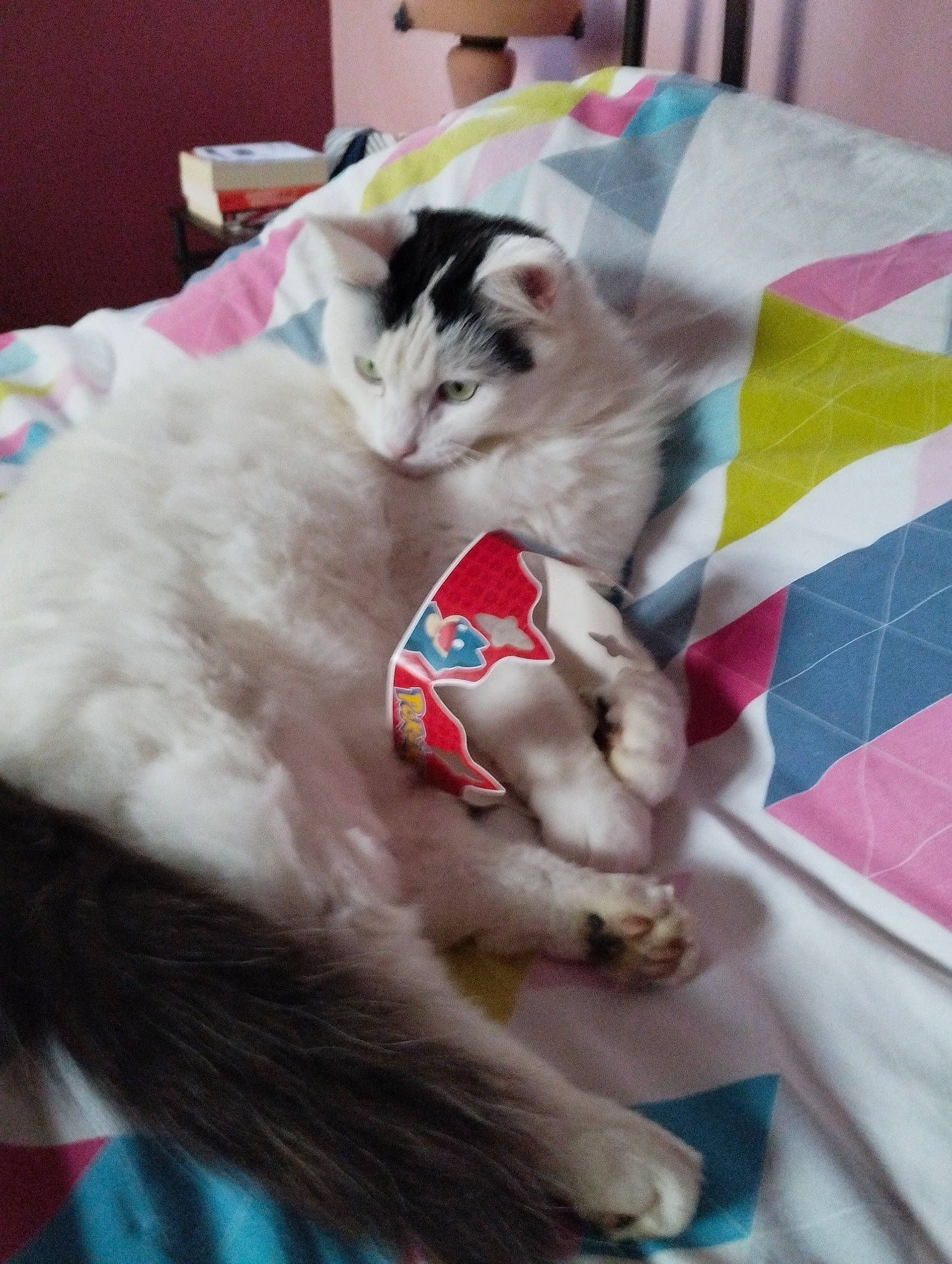 Chamallow participe au concours pour gagner de l'argent avec cette photo : carnivore, cat, cat_supply, claw, comfort, domestic_short_haired_cat, fang, fawn, felidae, fur, linens, paw, pet_supply, small_to_medium_sized_cats, tail, whiskers