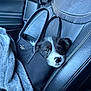 animal, black, blanket, car_seat, cute, dog, ears, fur, handbag, indoor, interior, leather, nose, pet, portrait, puppy, seatbelt, small_dog, travel, white