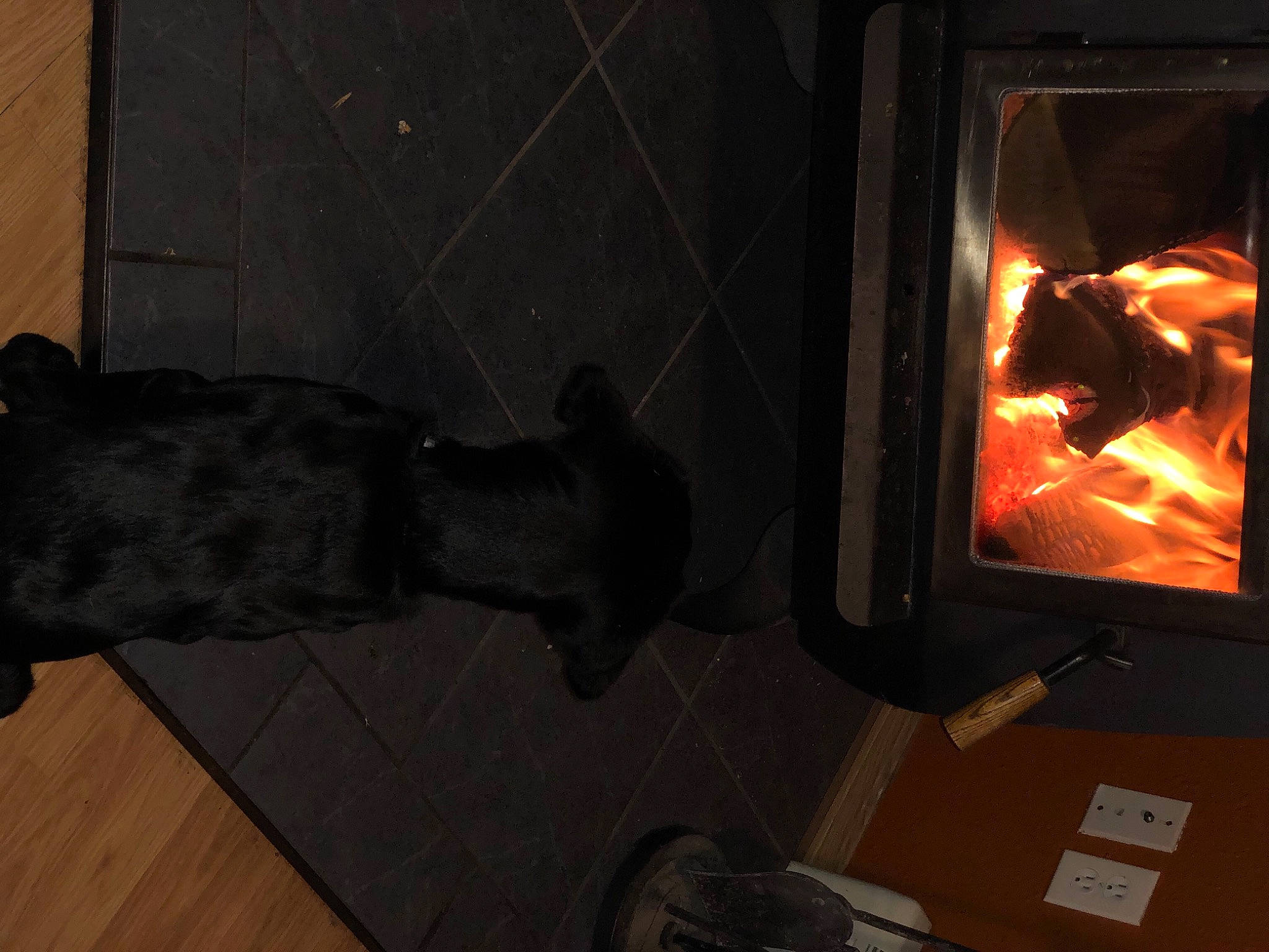 Dora joined the competition — help win amazing prizes! fire, fireplace, flame, gas, hearth, heat, home_appliance, room, stove, wood, wood_burning_stove