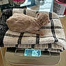 Caramel a rejoint le concours — aidez-le/la à gagner de superbes lots ! kitten, newborn, towel, digital_scale, weight, table, glass, cup, bottle, checkered_pattern, fur, small_animal, indoor, pet, baby_animal, resting, close_up, cute, domestic_animal, soft