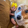 animal, architecture, baby, canine, clothing, costume, couch, cushion, dog, face, furniture, hat, head, homedecor, indoors, person, pet, photography, portrait, puppy
